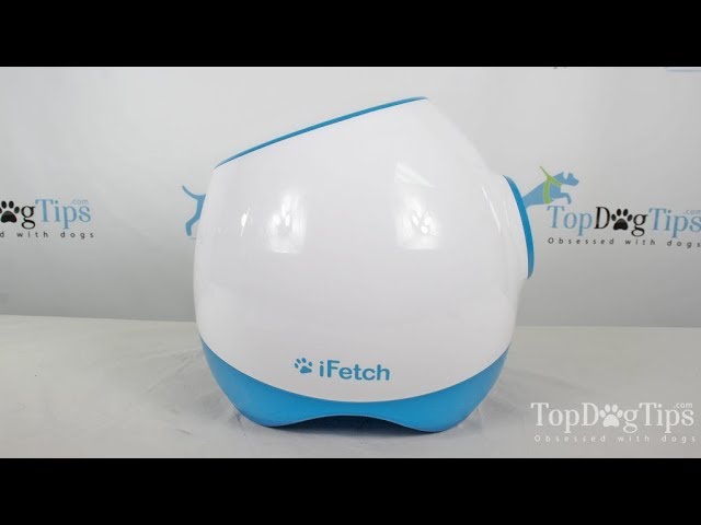 ifetch too interactive ball launcher for dogs