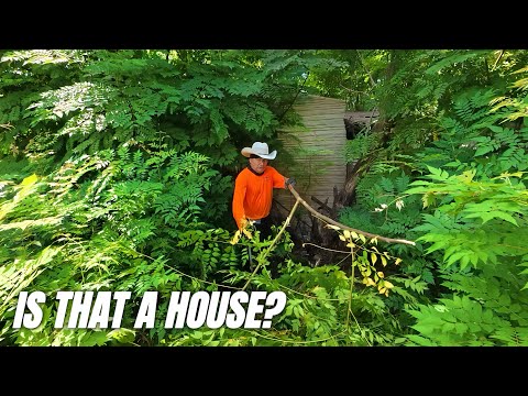 A Forgotten House Neighbors Hadn’t Seen in DECADES Finally Sees Daylight