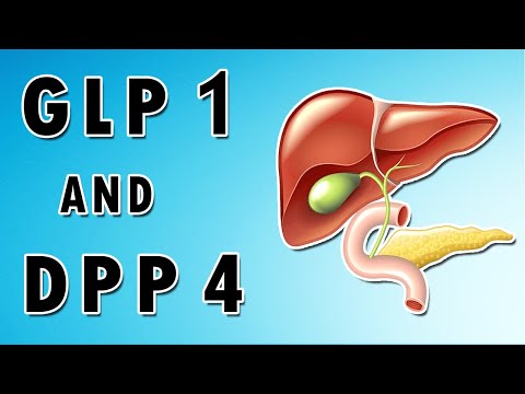 Wideo: Porównanie Poziomu Amylazy W Surowicy Między Inhibitorem Dipeptydylopeptydazy-4 A Podawaniem Analogu GLP-1 U Pacjentów Z Cukrzycą Typu 2