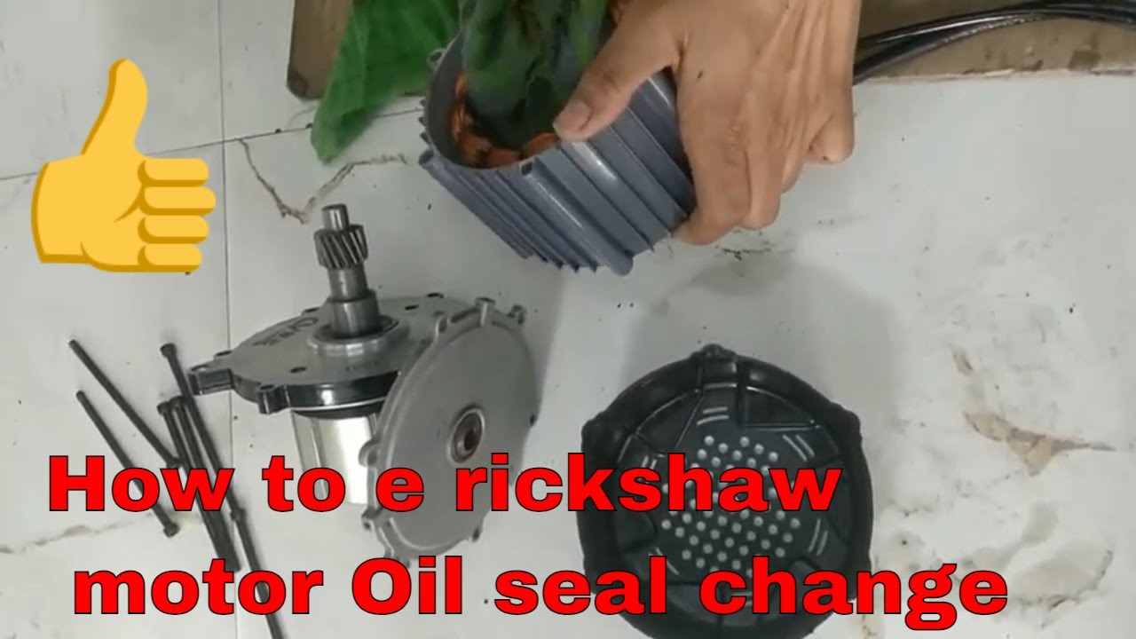 E Rickshaw Motor Oil Seal Problem and Motor Problem e rickshae gear