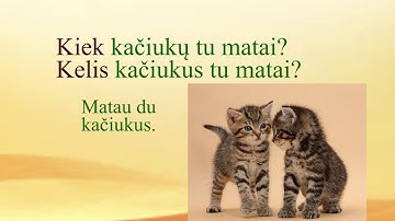 LITHUANIAN LESSON 133 - QUESTION WORDS FOR NUMBERS (1) - Skaitvardžių klausimai (1)