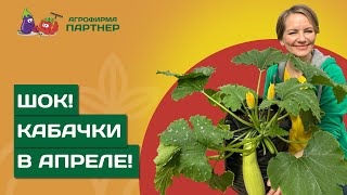 ПРОСТОЙ СПОСОБ ПОЛУЧЕНИЯ САМОГО РАННЕГО УРОЖАЯ