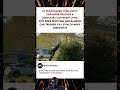 Vigilante’s Stealth Bush Dive | Peacemaker Funniest Moment