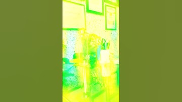 Red Pixels - Graphic Design, Video Editing, Web Designing and Other Programming Language Courses