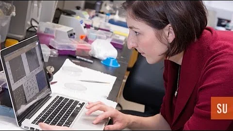 Lisa Manning Simons Investigator Award