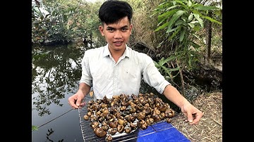 ỐC BƯƠU NƯỚNG TIÊU XANH - MÓN NHẬU HẾT SẨY - Cần Đước Vlog tập 02