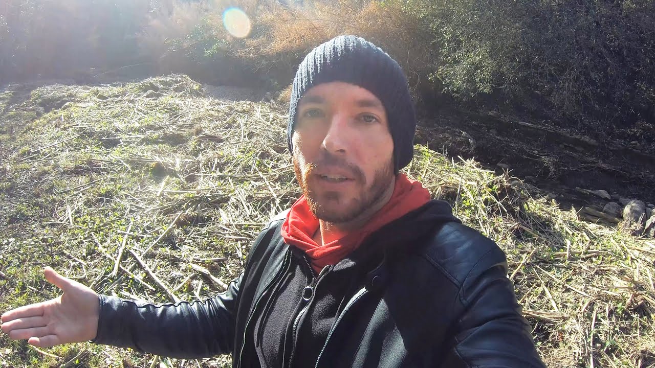 I'm Normal, You Are Extreme