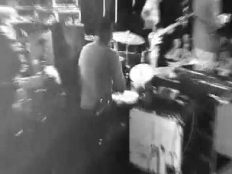 The Suzukis Live