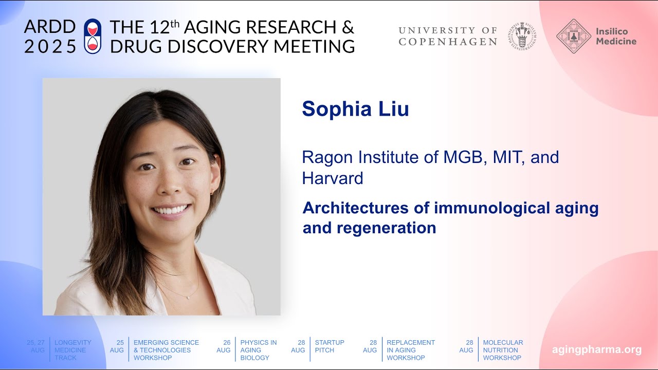 Sophia Liu at ARDD2025: Architectures of immunological aging and regeneration