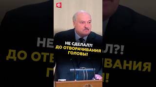 «Не сделали?! Отвечай!» Предупреждение от Лукашенко чиновникам! #лукашенко #беларусь #экономика