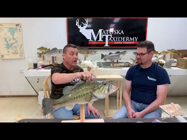 Learn Taxidermy: Understanding Today's Reproduction Fish Blanks 