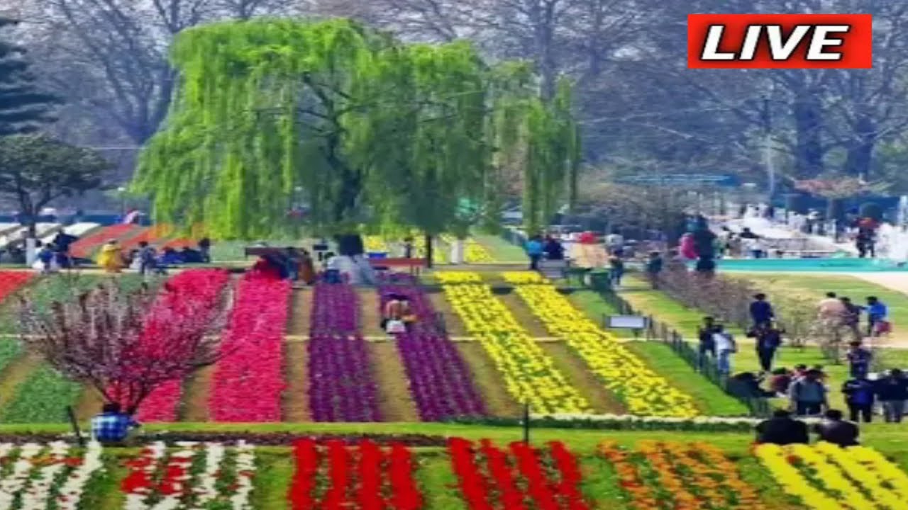 questions 📚 ! Competition me puche jaane wale sawal #bbc #ias #ips #ntpc # railway #ssc #live #ffi#