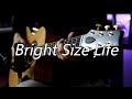 Pat Metheny - Bright Size Life - Acoustic Arrangement