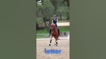 The Secret to Half Pass!