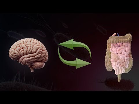 Eixo intestino-cérebro