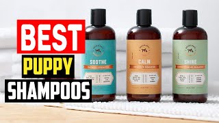 ✅Top 5 Best Puppy Shampoos for a Worry Free Bathtime by The Pets Products 22 views 2 weeks ago 4 minutes, 33 seconds