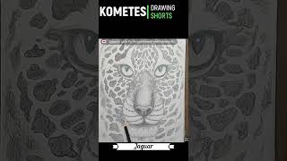 Get Wild with Colors Discover the Jaguar s Secrets with this Coloring Page