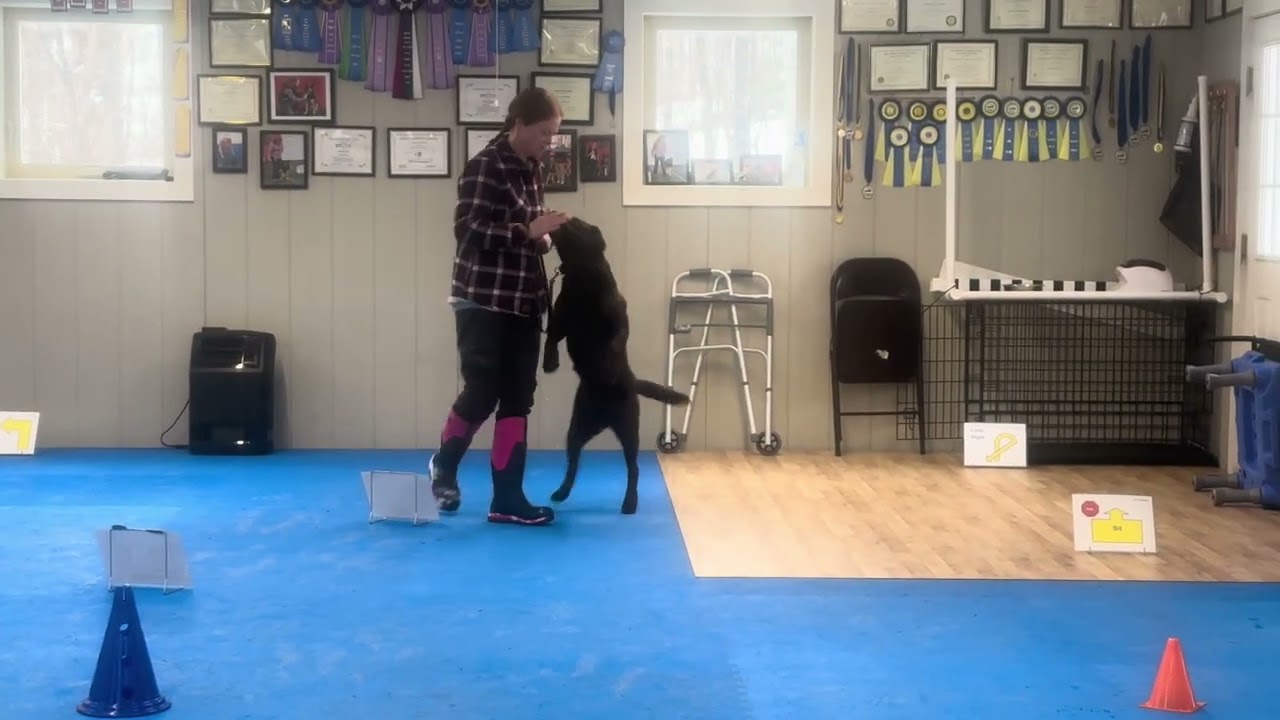 Juliana and Pixie Goodwin RNV4