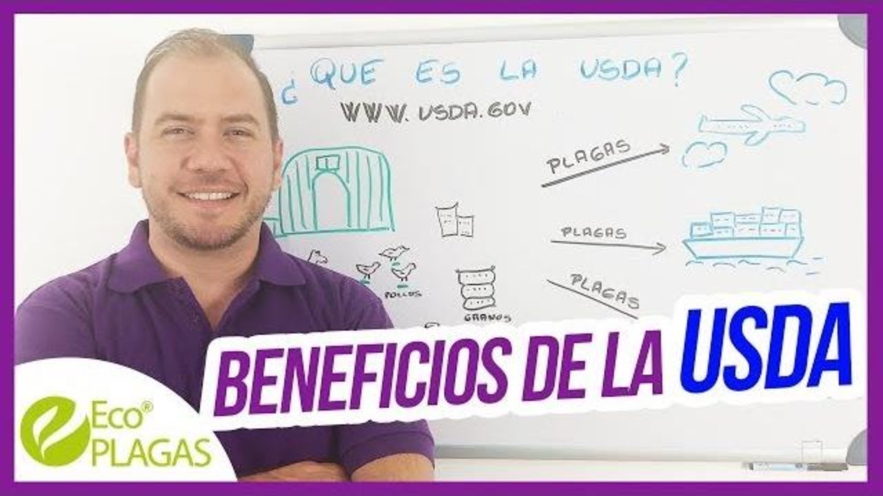 qu-es-la-usda-youtube