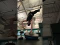 No one talks about the first stage #calisthenics #calisthenicsworkout #handstand #gymmotivation