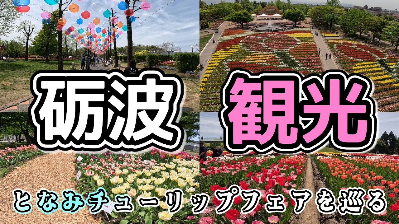 【砺波観光】凄いゾ！となみチューリップフェア！富山県ぶらり旅！