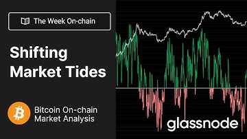 The Week On-chain: Shifting Market Tides - Week 6, 2023 (Bitcoin On-chain Analysis)