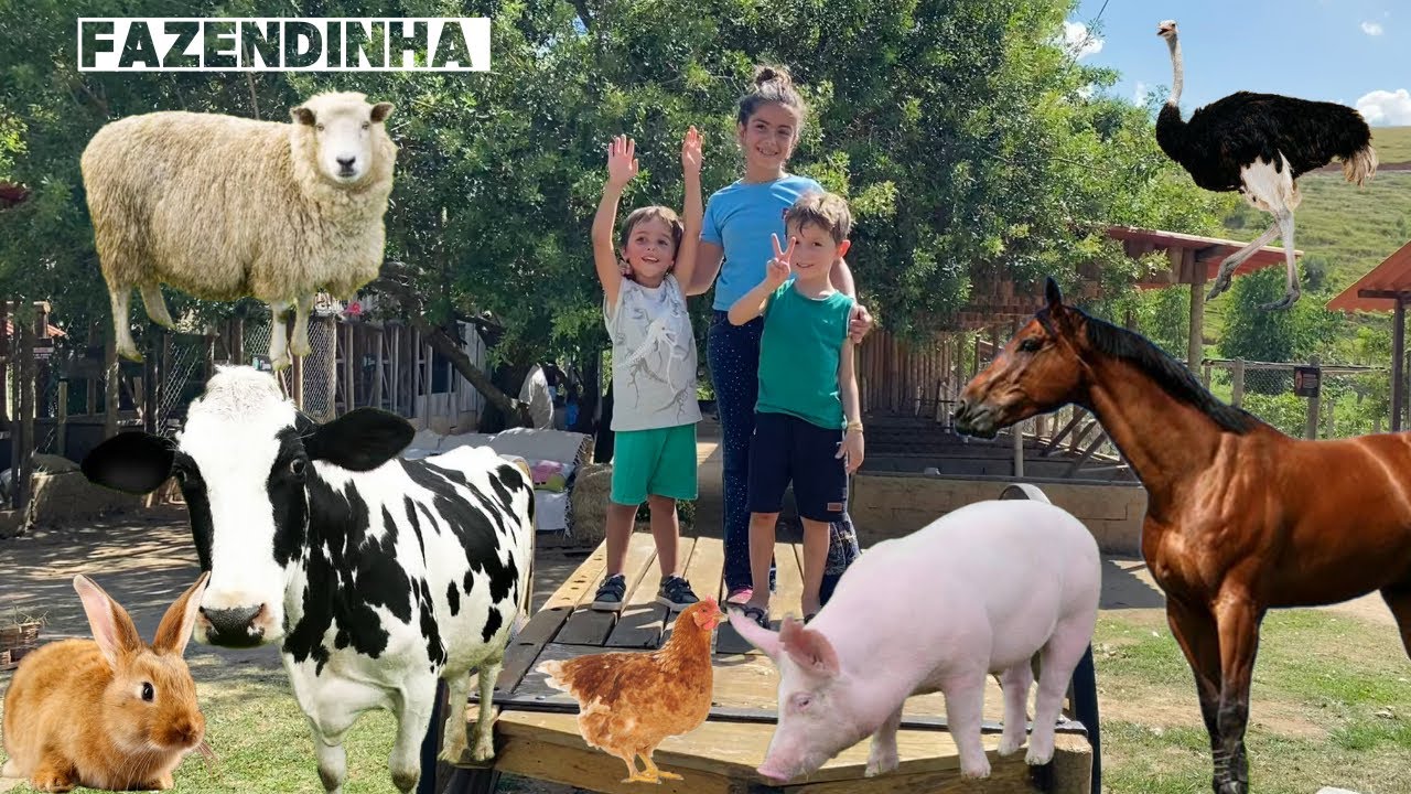 VISITAMOS UMA FAZENDA DE VERDADE!