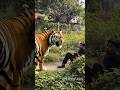 Mysteriously suddenly come front a tight #youtubeshorts #agt2025 #shortsvideo #ytshorts #agt2025 #ai
