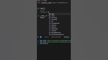 ASI SE USA EL CACHE EN PYTHON