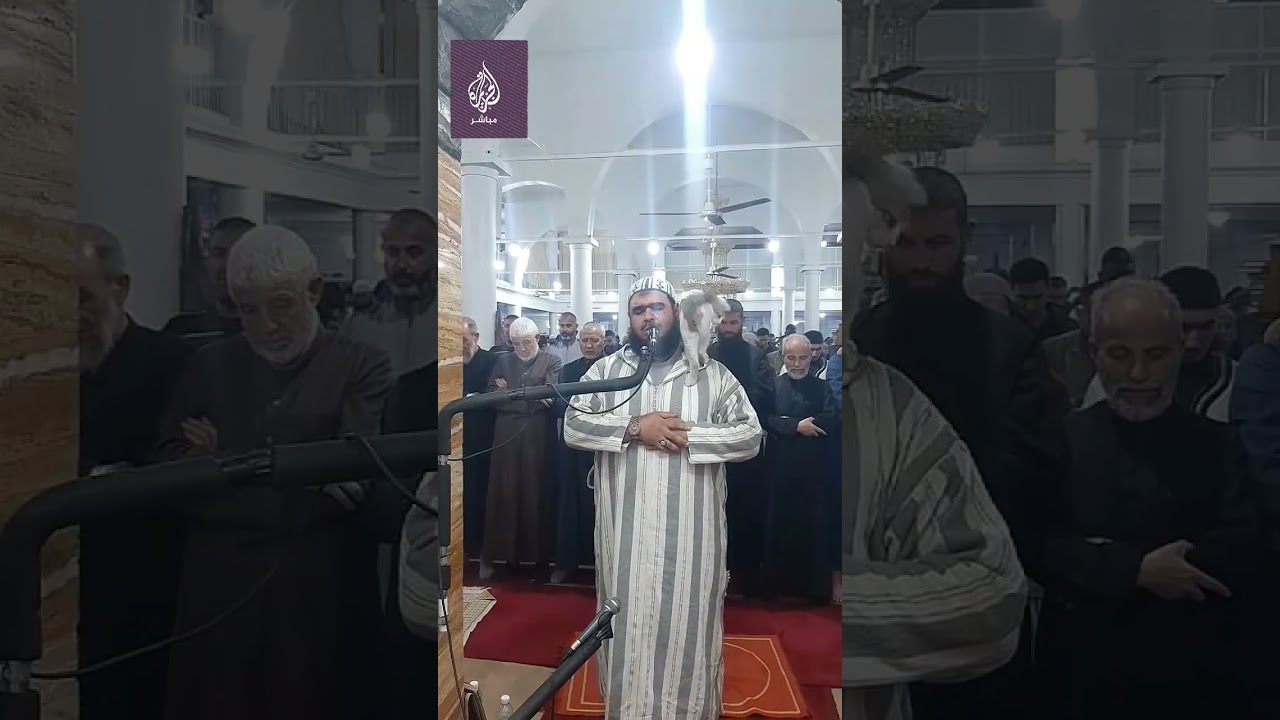 قطة تصعد على كتف إمام جزائري أثناء صلاة التراويح