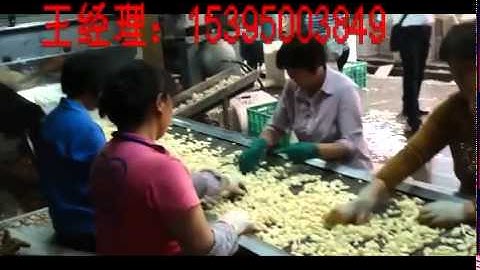 Garlic Color sorter machine