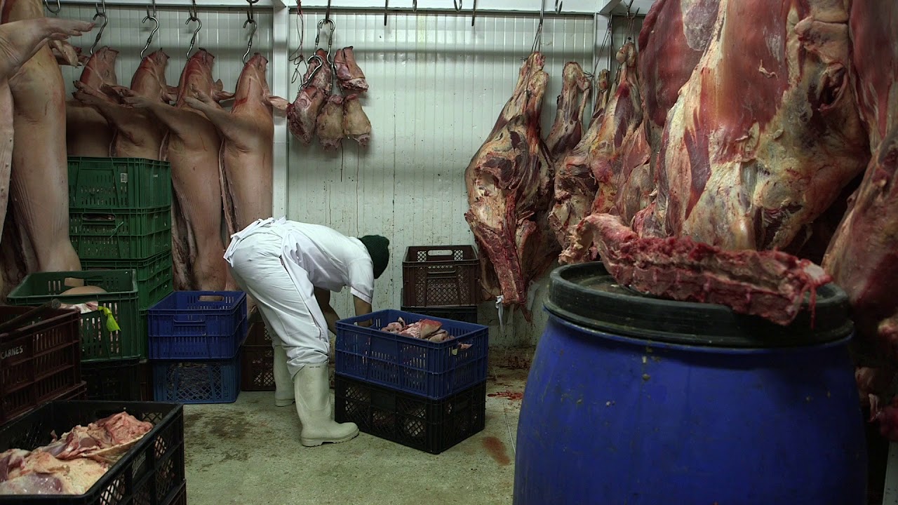 Hot Docs 2019 Trailers: BLISS film festival sydney