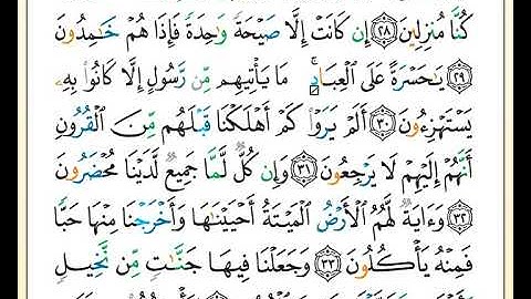 ختمة تلاوة لمصحف التجويد بصوت القارئ محمد حبش الصفحة رقم 442