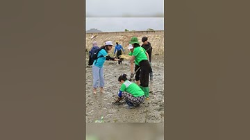 🏞️ LỢI ÍCH TỪ VIỆC TRỒNG CÂY - THE BENEFITS OF PLANNING TREES 🏞️ #shorts #hoiyeurac