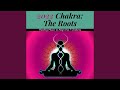 Align the 7 chakras