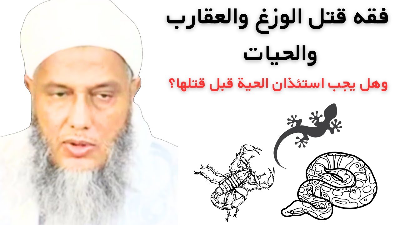 فقه قتل الوزغ والعقارب والحيات  وهل يجب استئذان الحية قبل قتلها؟ l لشيخ محمد الحسن ولد الددو  #الددو