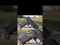 The 10 Best Pistols in the World for 2026