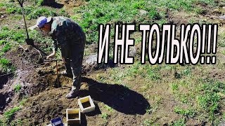 видео: СПАСАЕМ КРОЛИКОВ ОТ СВИРЕПОГО ВРАГА!! картинка: СПАСАЕМ КРОЛИКОВ ОТ СВИРЕПОГО ВРАГА!!