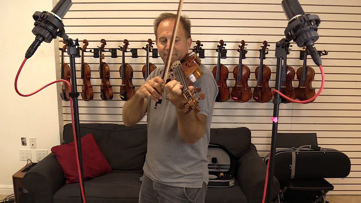 Holstein Amati and Soil Violins for Lisa