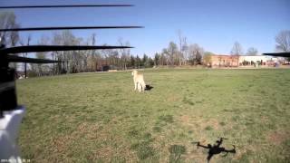 First Mobius Flight