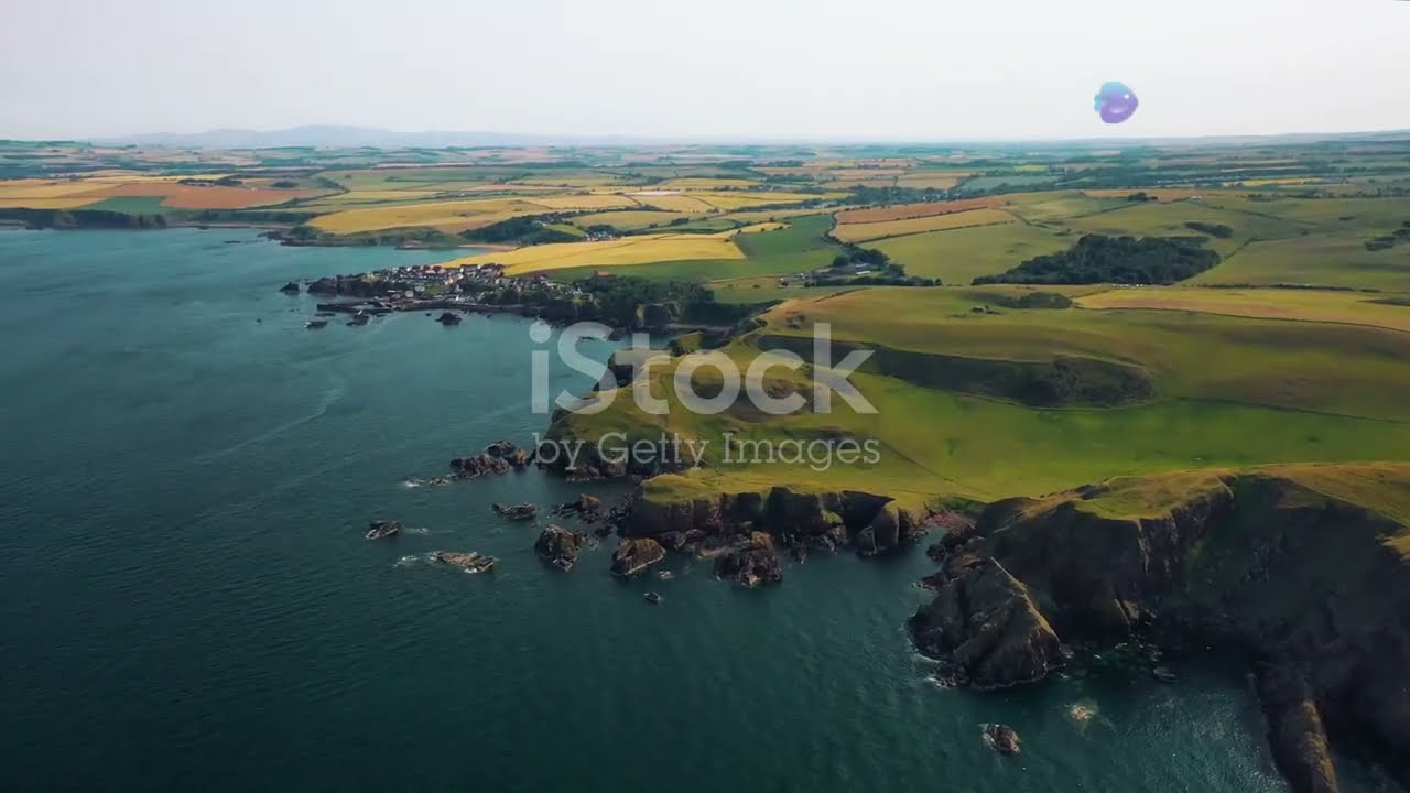 Noble False Widow Spider Bites: A Growing Concern in the UK