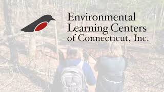 Equal Access to Nature at the BNC Accessible Nature Trail