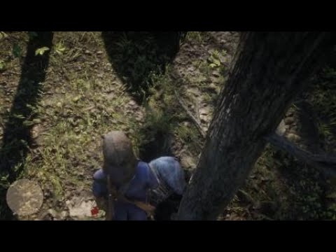 Red Dead Redemption 2 black mangy bear - YouTube