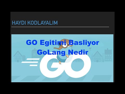 Ders 1 - Golang GO Eğitimi - Golang nedir? Neden GO? Go ne laa :)