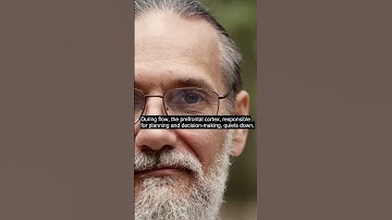 The Neuroscience Behind Flow: Understanding How Your Brain Changes During Optimal Experience