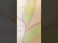 #ボカロ #歌ってみた #初音ミク #オリジナル曲 #椎名もた 😣😣