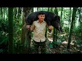 After a wild boar was caught in a trap, the CEO left the city to live a wild life in the forest.