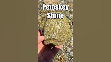 A Beautiful Transformation—Petoskey Stone Polishing