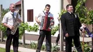 Video thumbnail of "Árad a Tisza - Sirály Együttes"