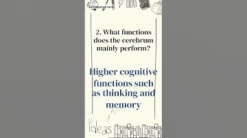 Is Your Brain Ready? 5 Science Qs - 1-Minute Science Quiz (29)